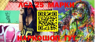 гидропоника Будённовск