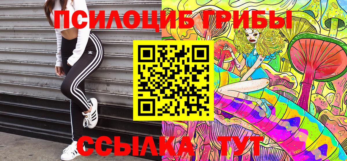 Псилоцибиновые грибы Psilocybe  Вход с VPN  Новороссийск  Галлюциногенные грибы ЛСД 