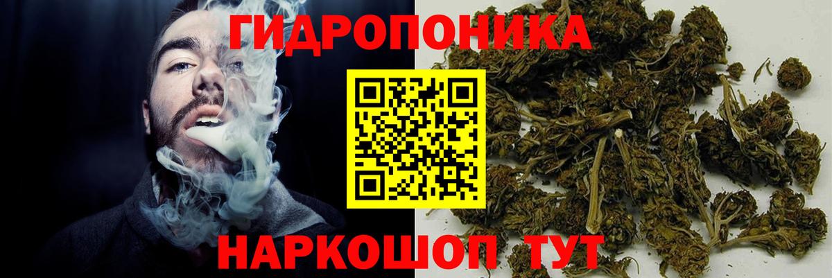 Конопля планчик  МАРИХУАНА планчик  Новороссийск  Вход с VPN 